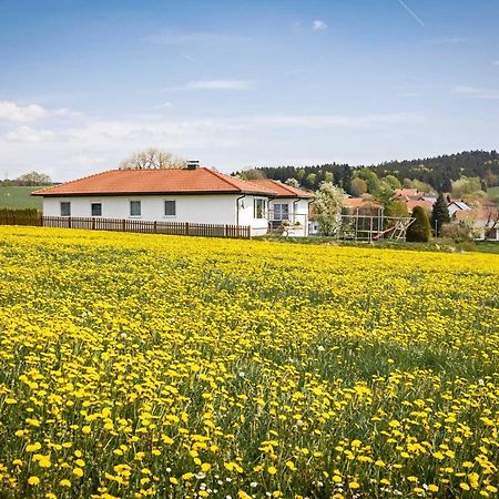 Traumferienhaus Xxl Ortner Wetzendorf Esterno foto