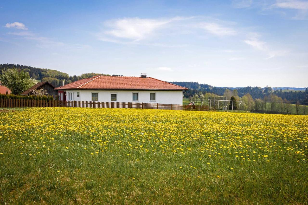 Traumferienhaus Xxl Ortner Wetzendorf Esterno foto