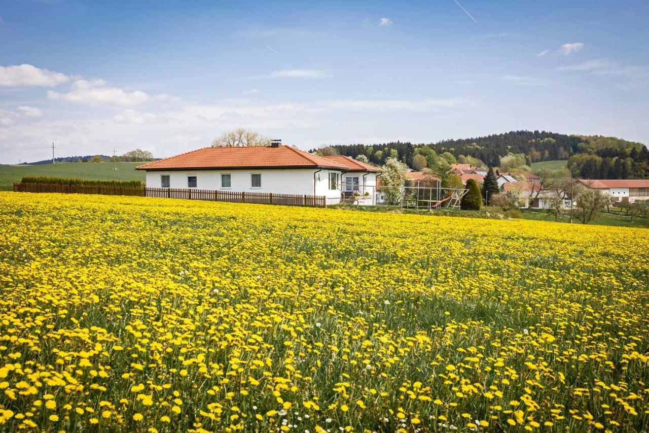 Traumferienhaus Xxl Ortner Wetzendorf Esterno foto