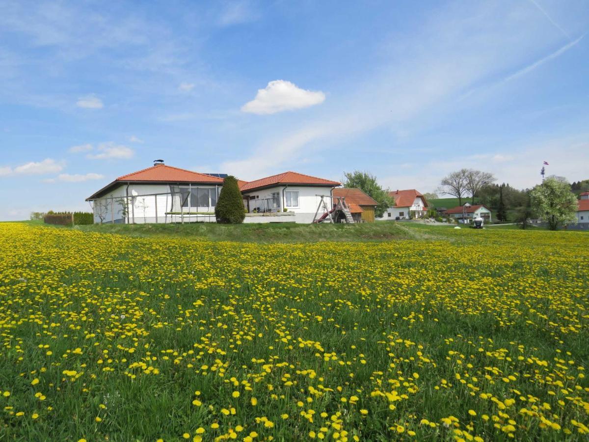 Traumferienhaus Xxl Ortner Wetzendorf Esterno foto